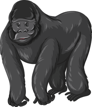 gorillasdifferent-type-of-wildlife-animals-on-white-background-illustration-587660