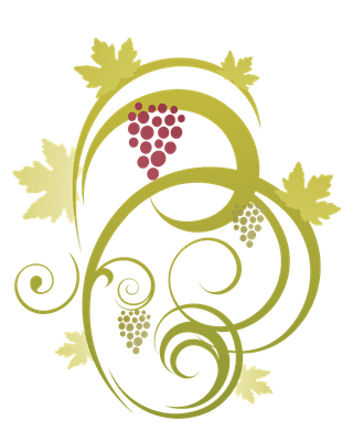 grapebunch-pattern-abstract-floral-vine-grape-ornament-vector-216155