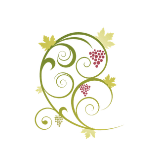 grapebunch-pattern-abstract-floral-vine-grape-ornament-vector-620235
