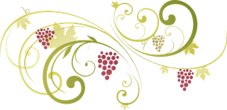 grapebunch-pattern-abstract-floral-vine-grape-ornament-vector-459167