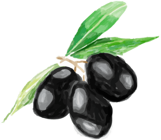 grapehand-drawn-food-ingredients-watercolor-style-353387