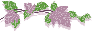 greenand-purple-poison-ivy-leaf-vine-collection-with-flat-vector-style-illustration-750823