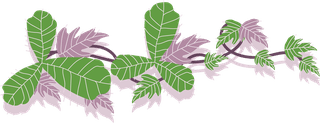 greenand-purple-poison-ivy-leaf-vine-collection-with-flat-vector-style-illustration-455709