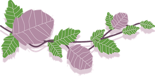 greenand-purple-poison-ivy-leaf-vine-collection-with-flat-vector-style-illustration-558591