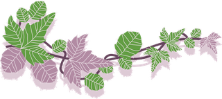greenand-purple-poison-ivy-leaf-vine-collection-with-flat-vector-style-illustration-781962