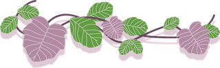 greenand-purple-poison-ivy-leaf-vine-collection-with-flat-vector-style-illustration-101642