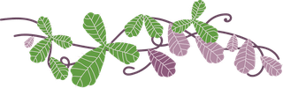 greenand-purple-poison-ivy-leaf-vine-collection-with-flat-vector-style-illustration-997287