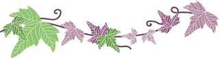 greenand-purple-poison-ivy-leaf-vine-collection-with-flat-vector-style-illustration-12529