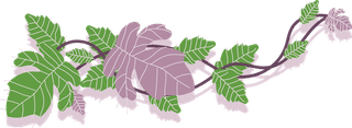 greenand-purple-poison-ivy-leaf-vine-collection-with-flat-vector-style-illustration-104096