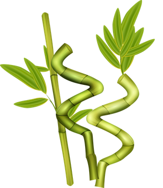 greenbamboo-decorative-elements-88997