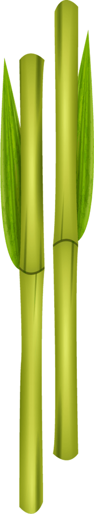 greenbamboo-decorative-elements-526186