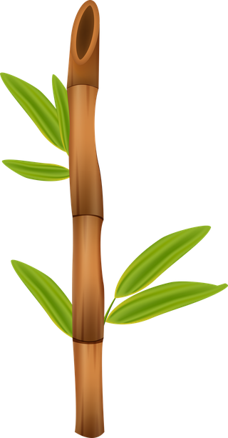 greenbamboo-decorative-elements-887253