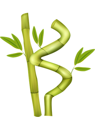 greenbamboo-decorative-elements-265133