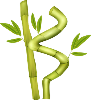 greenbamboo-decorative-elements-68219