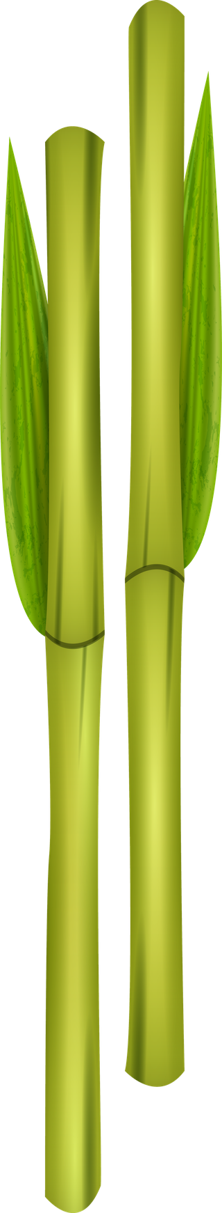 greenbamboo-decorative-elements-704737