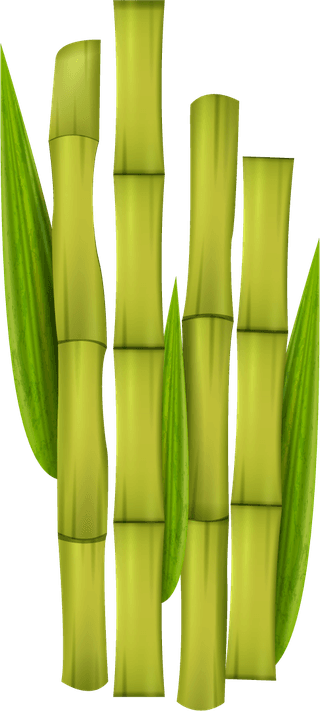 greenbamboo-decorative-elements-335604