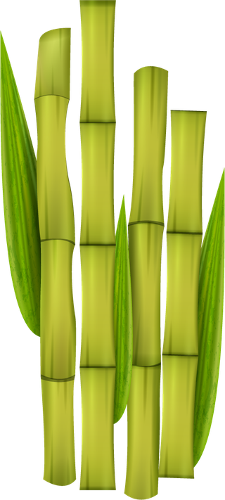 greenbamboo-decorative-elements-335604