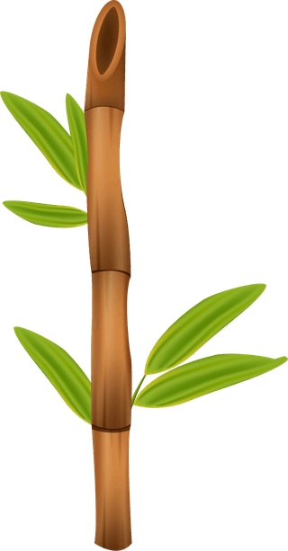 greenbamboo-decorative-elements-386960