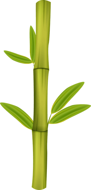greenbamboo-decorative-elements-518074