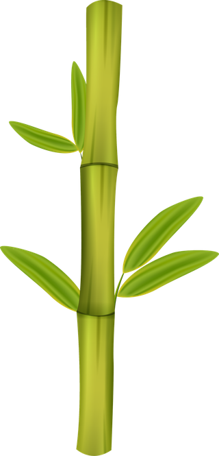 greenbamboo-decorative-elements-518074