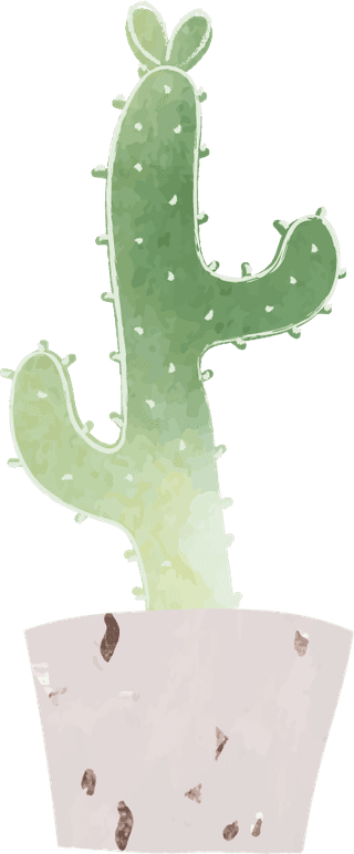 greenbotany-cactus-collection-vector-899772