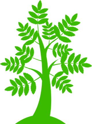 greenecology-and-environment-icons-328292