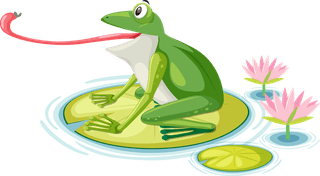 greenfrog-in-lotus-pond-set-of-frog-on-lotus-pad-illustration-712066
