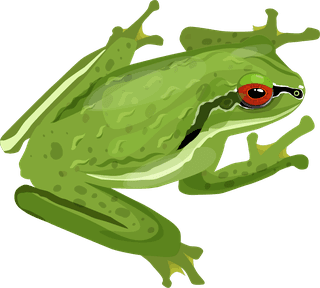 greenfrog-reptiles-icons-crocodile-gecko-turtle-snake-frog-sketch-11778