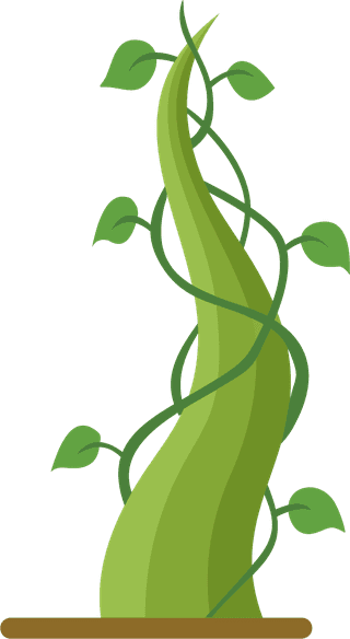 greengrowing-plant-beanstalk-246815