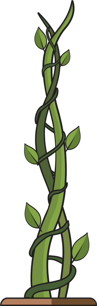 greengrowing-plant-beanstalk-846340