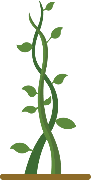 greengrowing-plant-beanstalk-218975