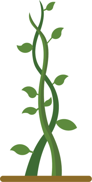 greengrowing-plant-beanstalk-218975