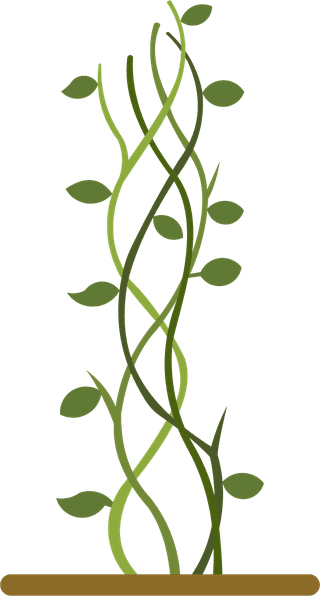 greengrowing-plant-beanstalk-264242