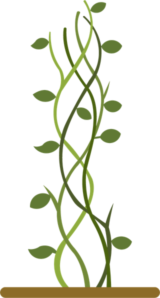 greengrowing-plant-beanstalk-264242