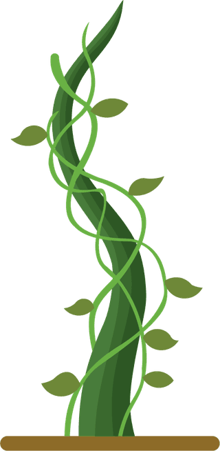 greengrowing-plant-beanstalk-673492