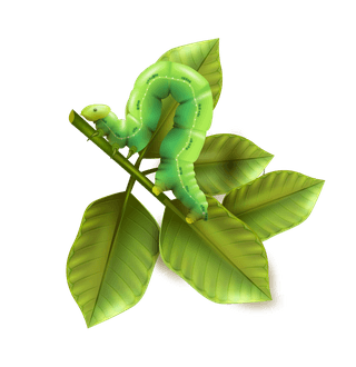 greenworm-pest-control-icons-set-273327