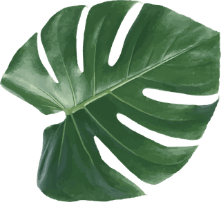grentropical-leaf-design-element-974663