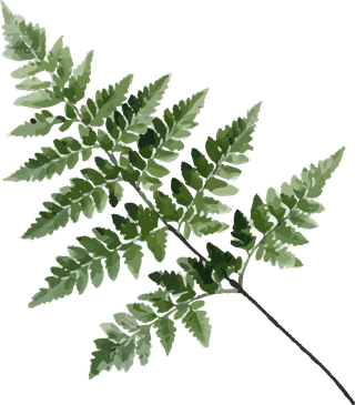 grentropical-leaf-design-element-plans-and-trees-945804