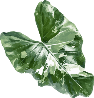 grentropical-leaf-design-element-plans-and-trees-918389