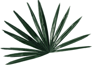 grentropical-leaf-design-element-plans-and-trees-842467