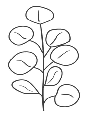 handdrawn-branching-nature-elements-botanical-illustrations-for-invitations-797719