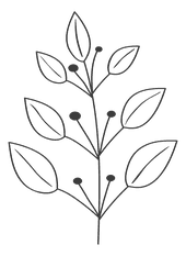 handdrawn-branching-nature-elements-botanical-illustrations-for-invitations-795660