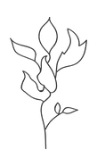 handdrawn-branching-nature-elements-botanical-illustrations-for-invitations-784488