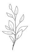 handdrawn-branching-nature-elements-botanical-illustrations-for-invitations-783066