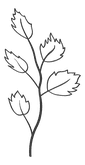handdrawn-branching-nature-elements-botanical-illustrations-for-invitations-787202