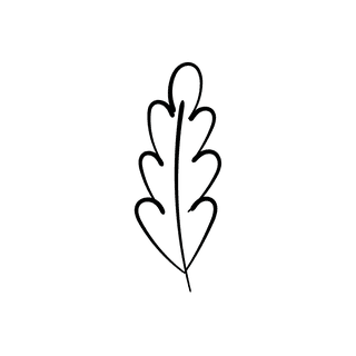 elegantfloral-line-art-illustration-with-delicate-botanical-elements-in-a-minimalistic-black-outline-715646