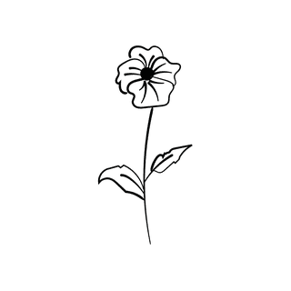 elegantfloral-line-art-illustration-with-delicate-botanical-elements-in-a-minimalistic-black-outline-700001