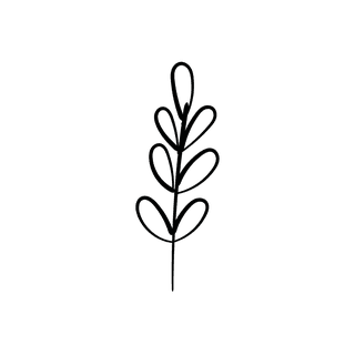 elegantfloral-line-art-illustration-with-delicate-botanical-elements-in-a-minimalistic-black-outline-712338