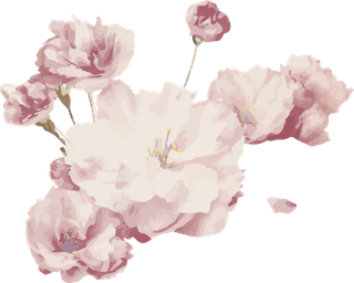 handdrawn-flower-vector-set-vintage-botanical-illustration-579011