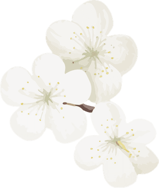 handdrawn-flower-vector-set-vintage-botanical-illustration-588919